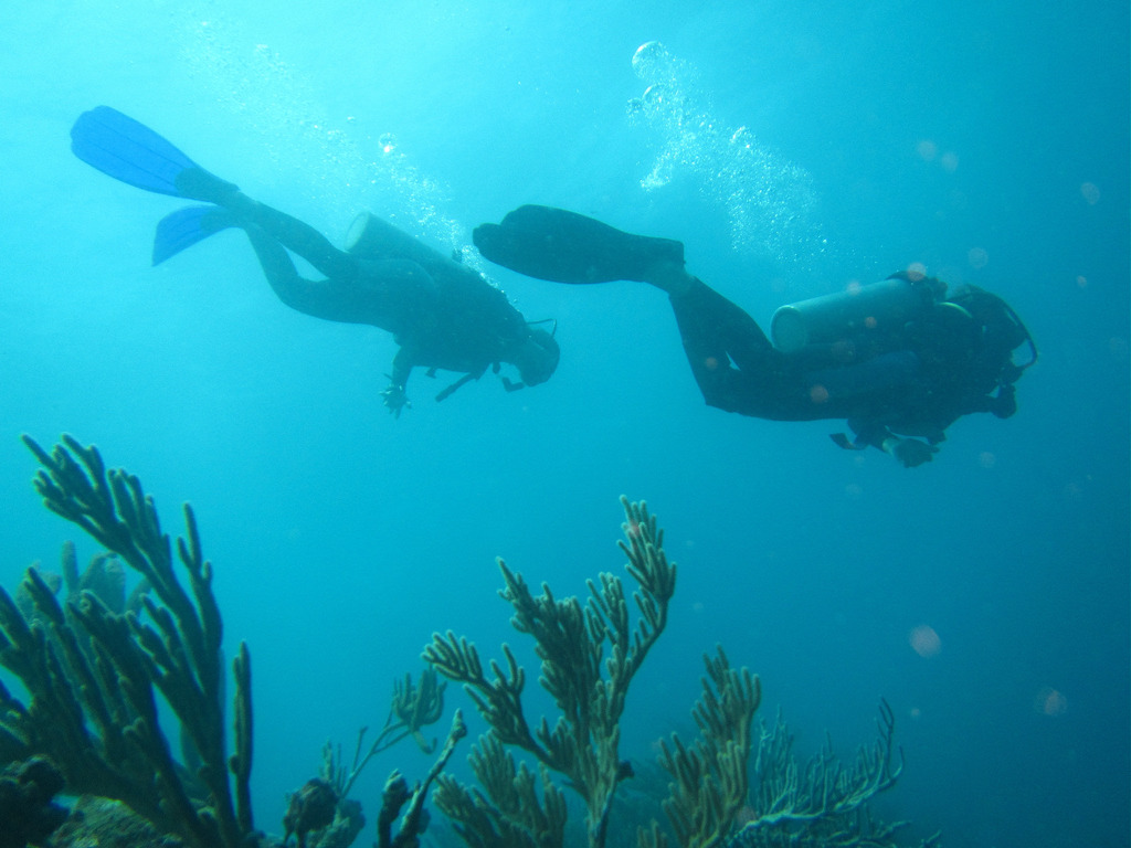 Scuba diving Providencia