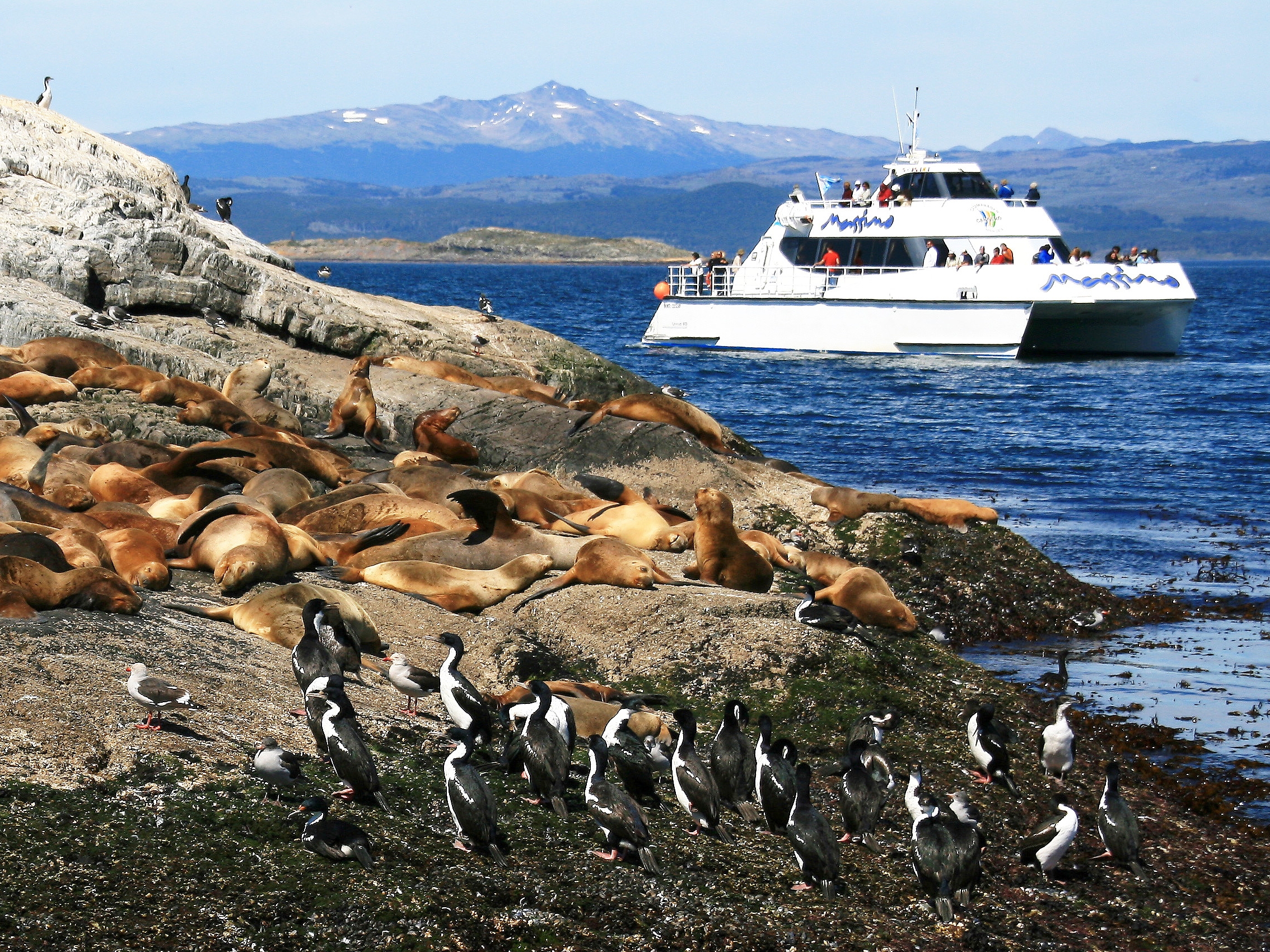 Beagle Channel cruise in Patagonia