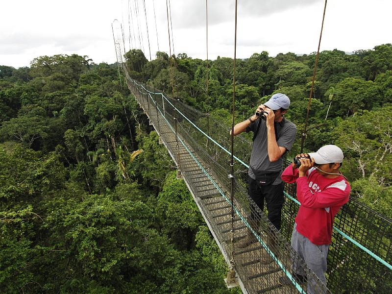 Amazon safari, Ecuador mainland adventures