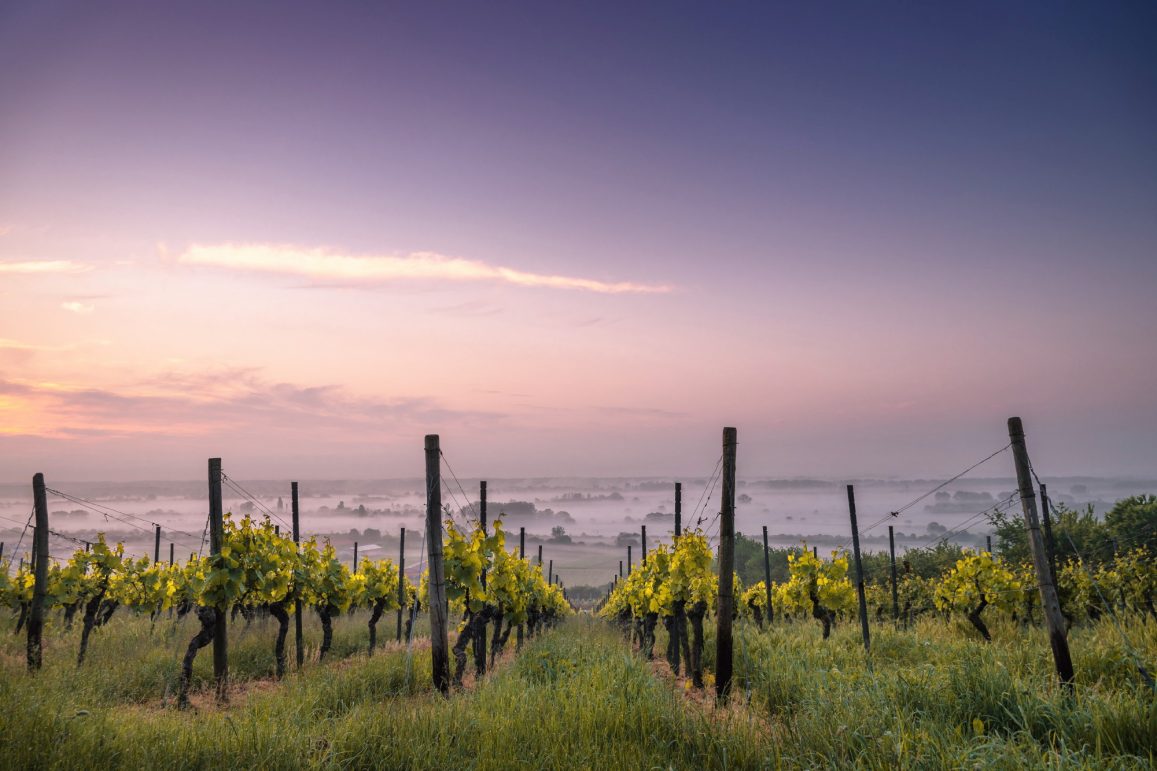 Wine Tasting in Uruguay Discover Your South America Blog