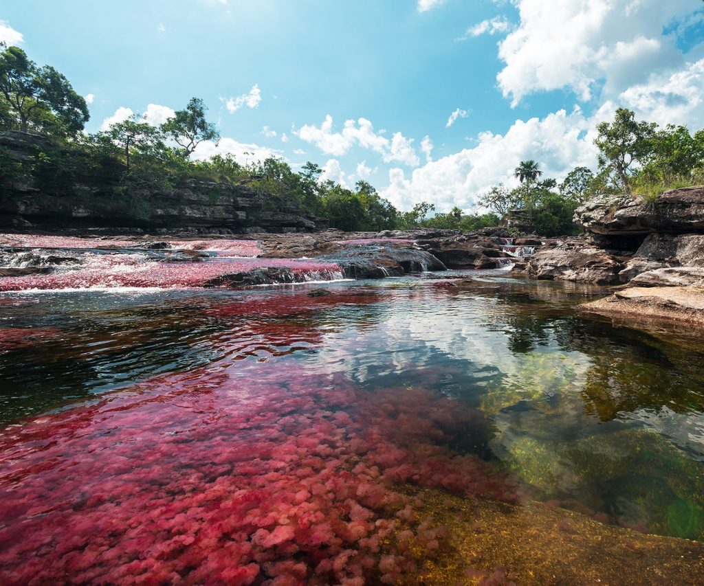 Caño Cristales | Discover Your South America Blog