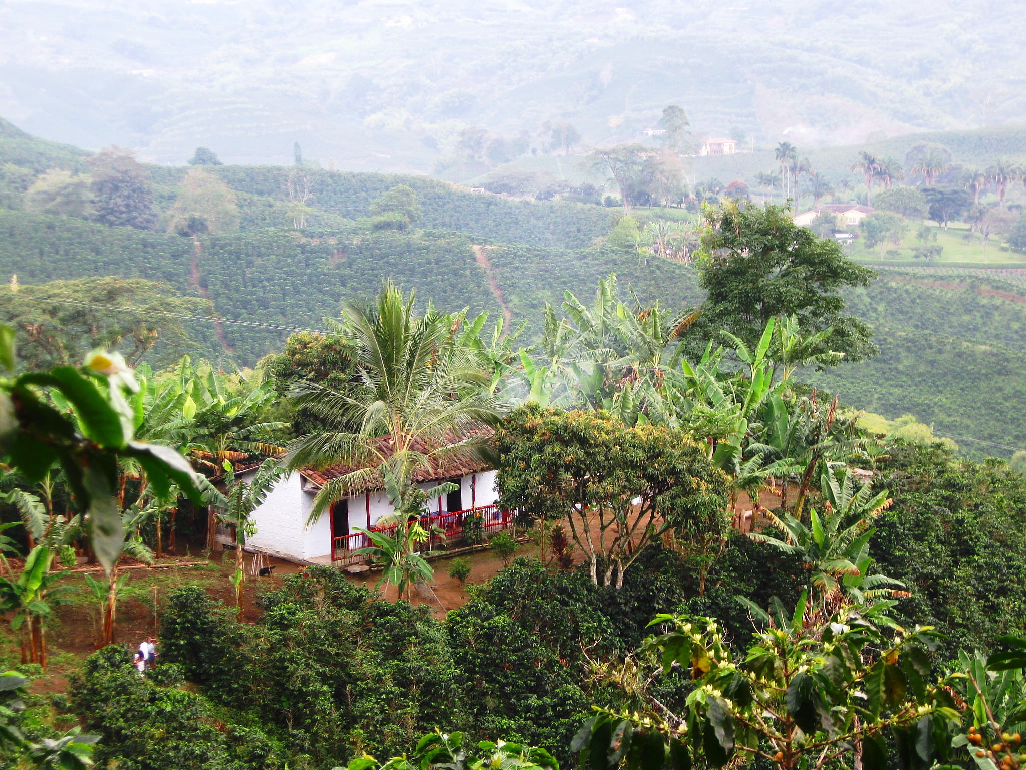 Coffee Region, Colombia | Discover Your South America Blog