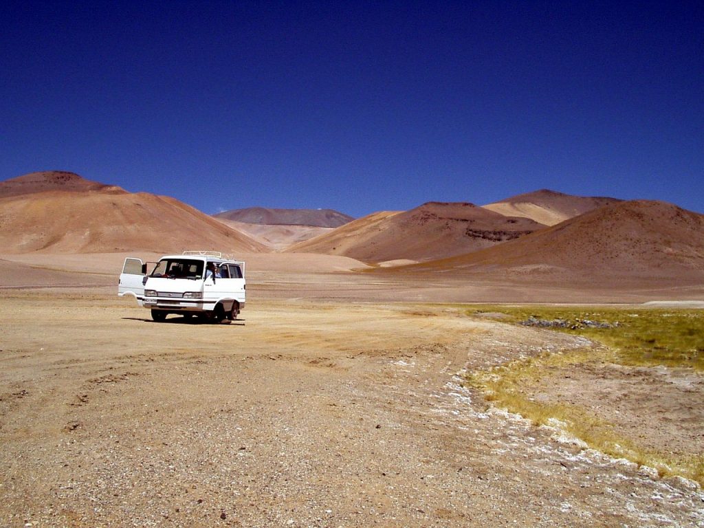 Atacama Desert wildlife | Discover Your South America Blog