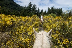 Horse riding in South America | Discover Your South America Blog